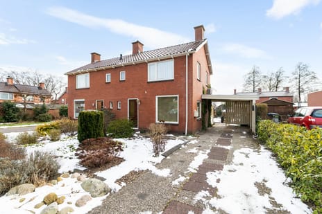 undefined main image