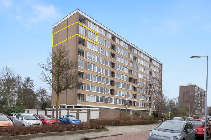 Jan van Goyenstraat 196