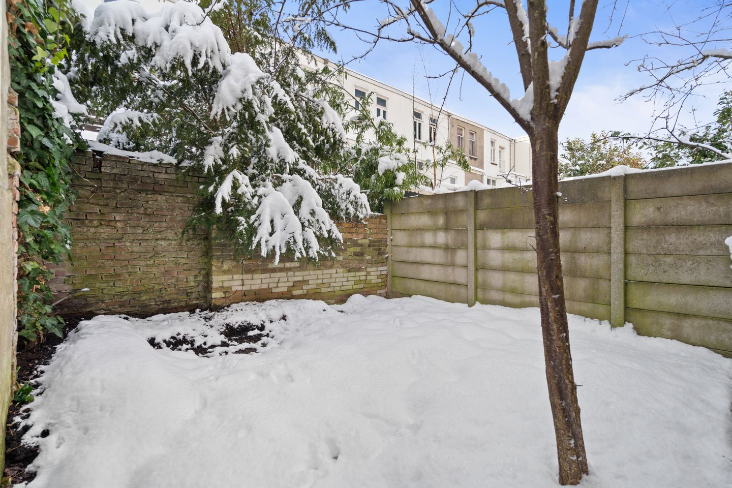 Foto 29 van Brederoplein 3