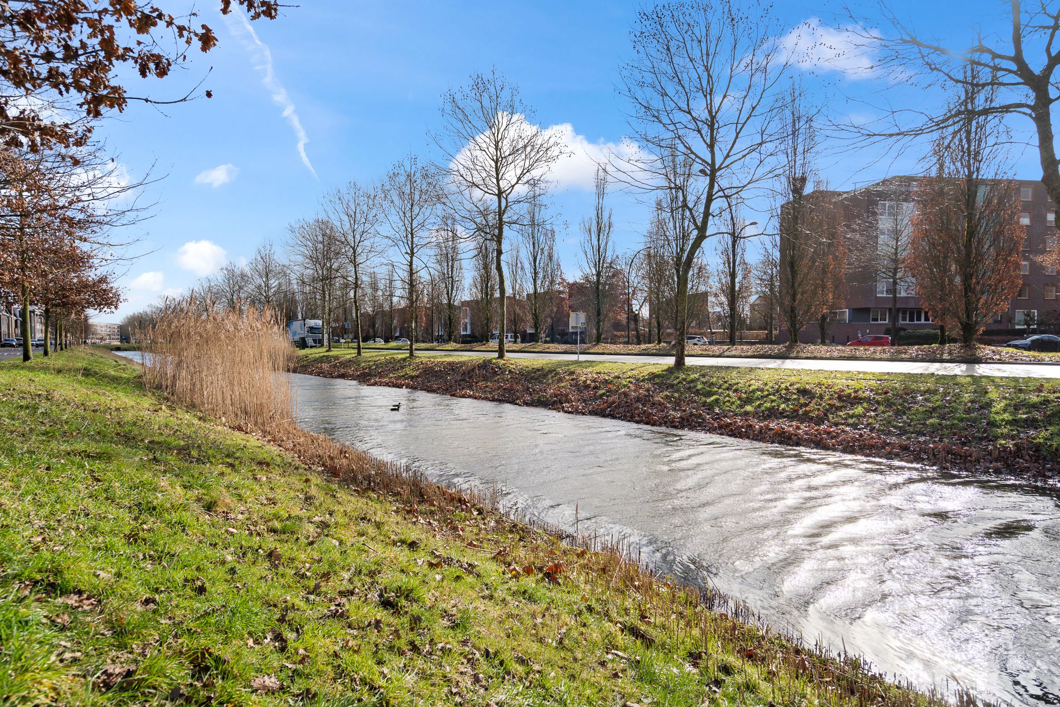 Photo 42 of Baak van Zierikzee 50