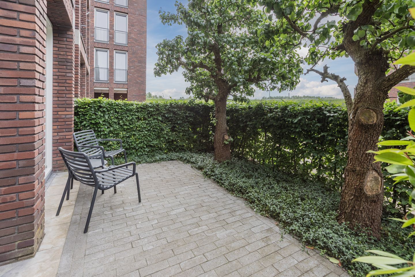 Photo 50 of Rondeel 33