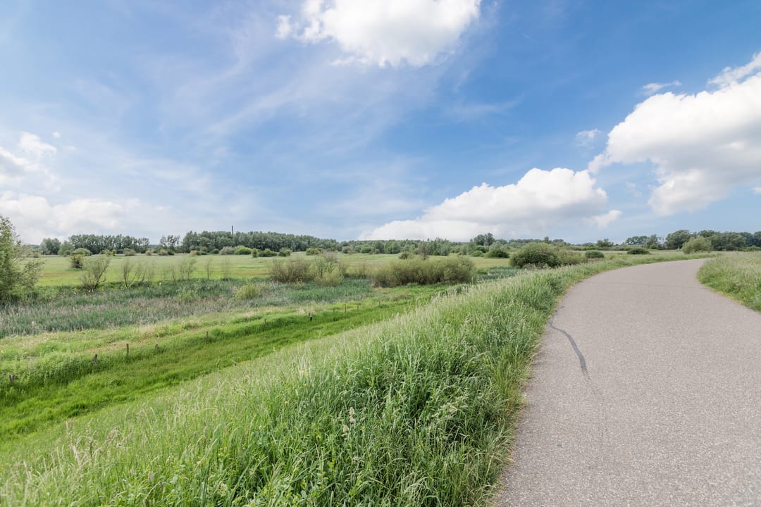 Photo 53 of Rondeel 33