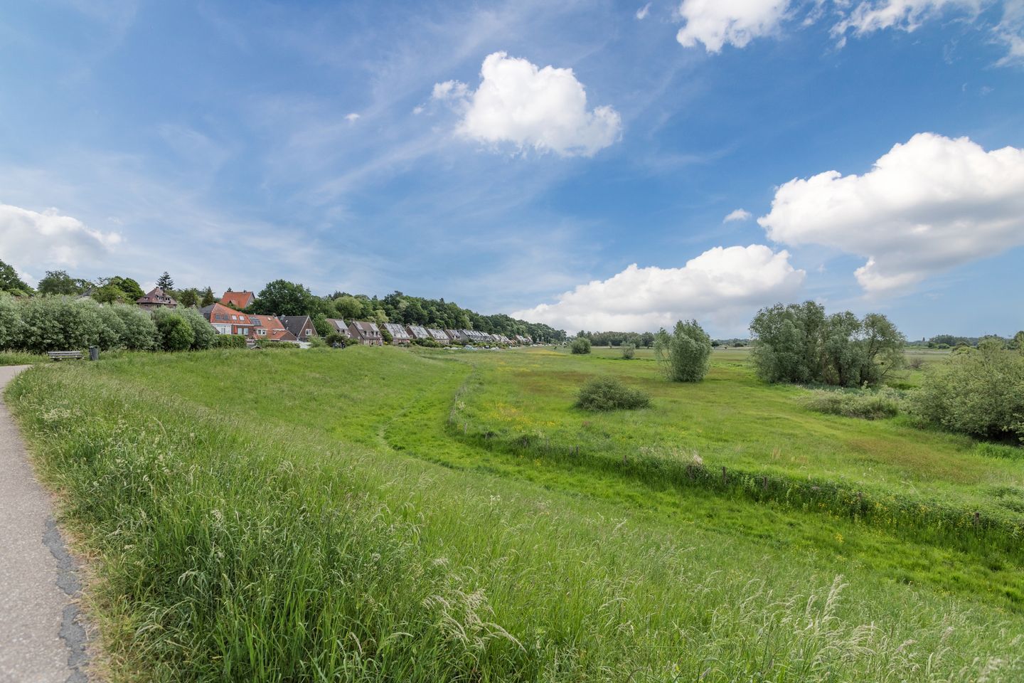 Photo 55 of Rondeel 33