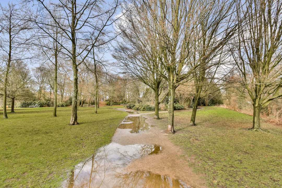 Photo 32 of Hofsingel 29