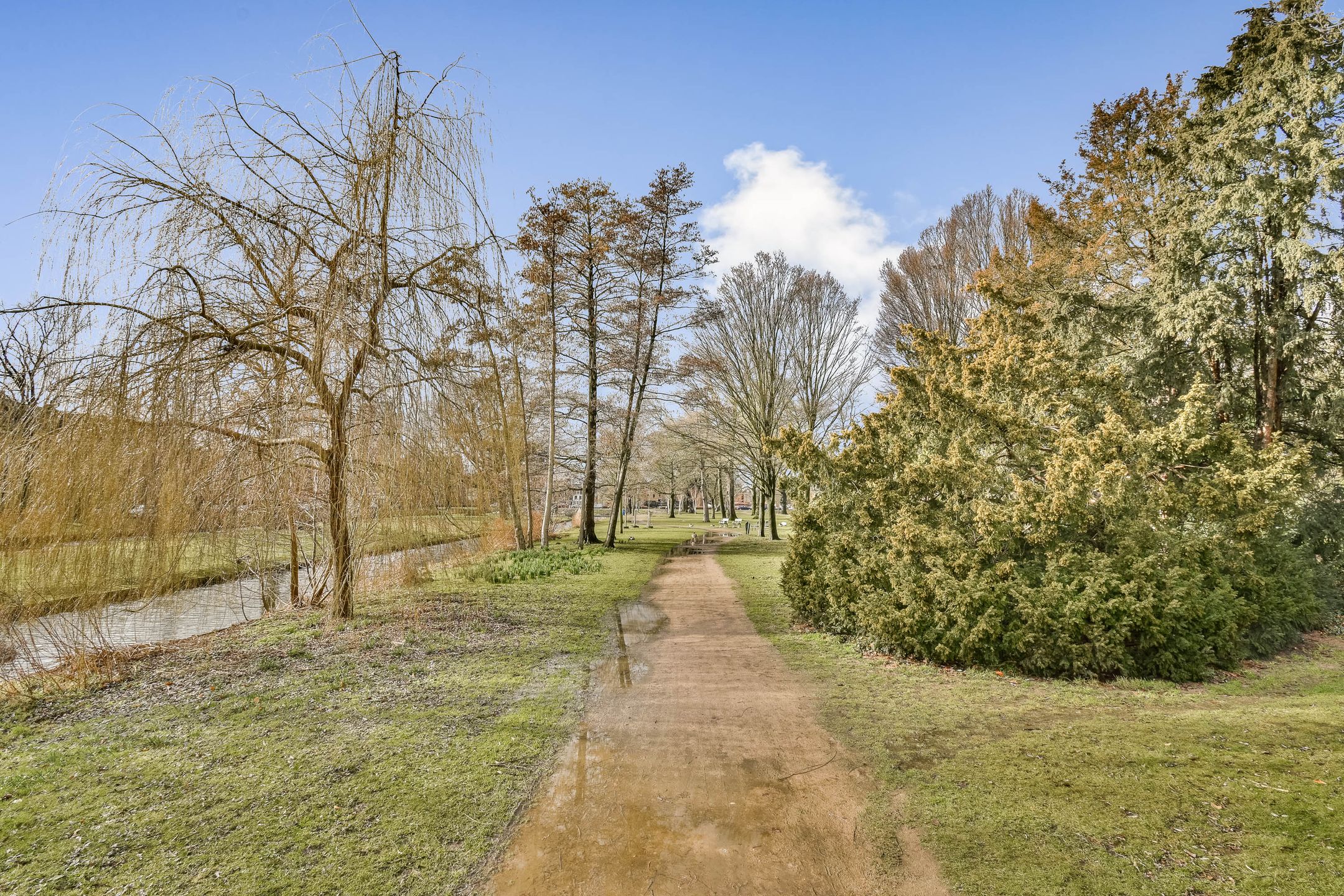 Photo 33 of Hofsingel 29