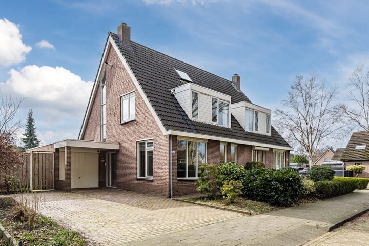 Perwijs 41 main image