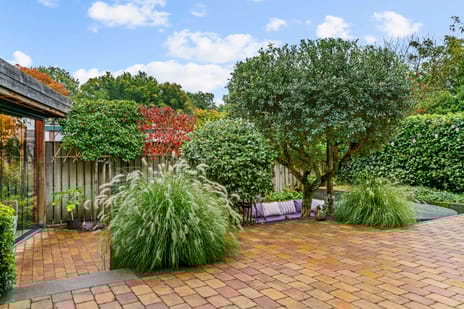 Petronellaweg 5 tertiary image