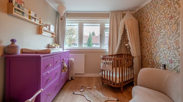 Foto 17 van Rutger Jan Schimmelpenninckstraat 21