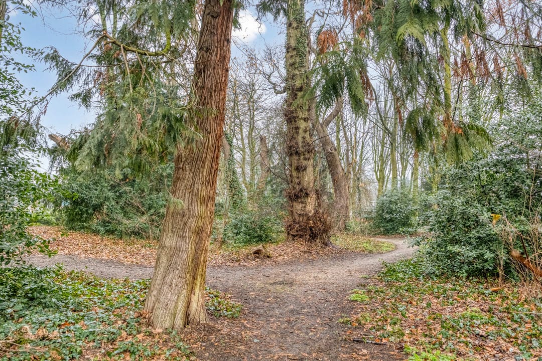 Foto 32 van Engelse Tuin 33