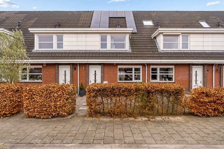 Foto 4 van Zilversmid 8