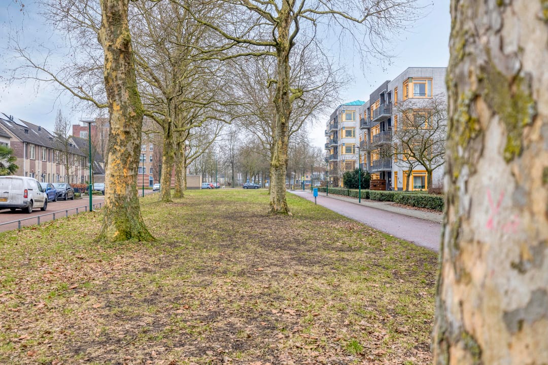 Photo 38 of Atalantapark 10