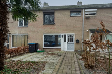 undefined main image