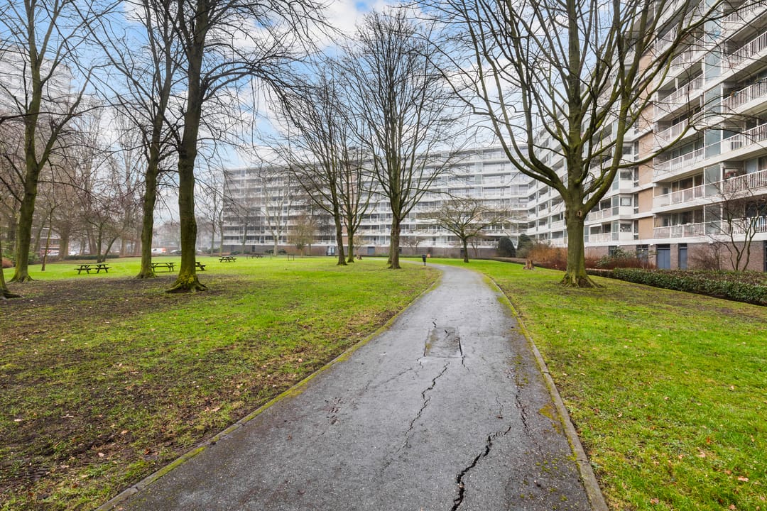 Foto 43 van André Gideplaats 305