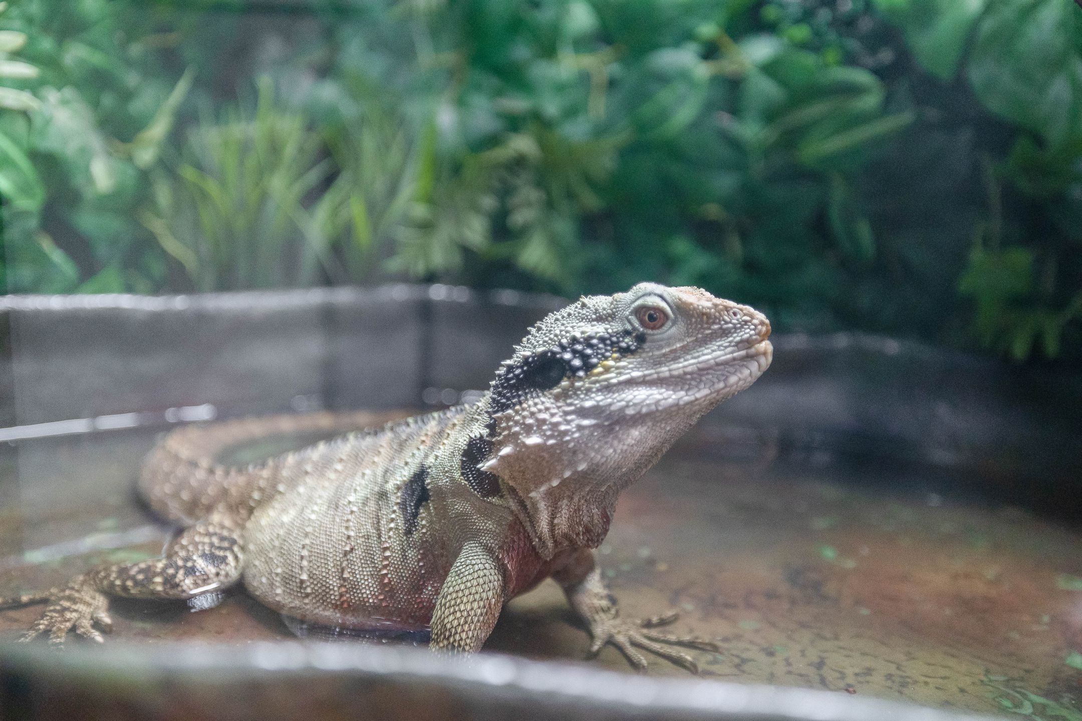 Foto 12 van Burgemeester van Edenstraat 3