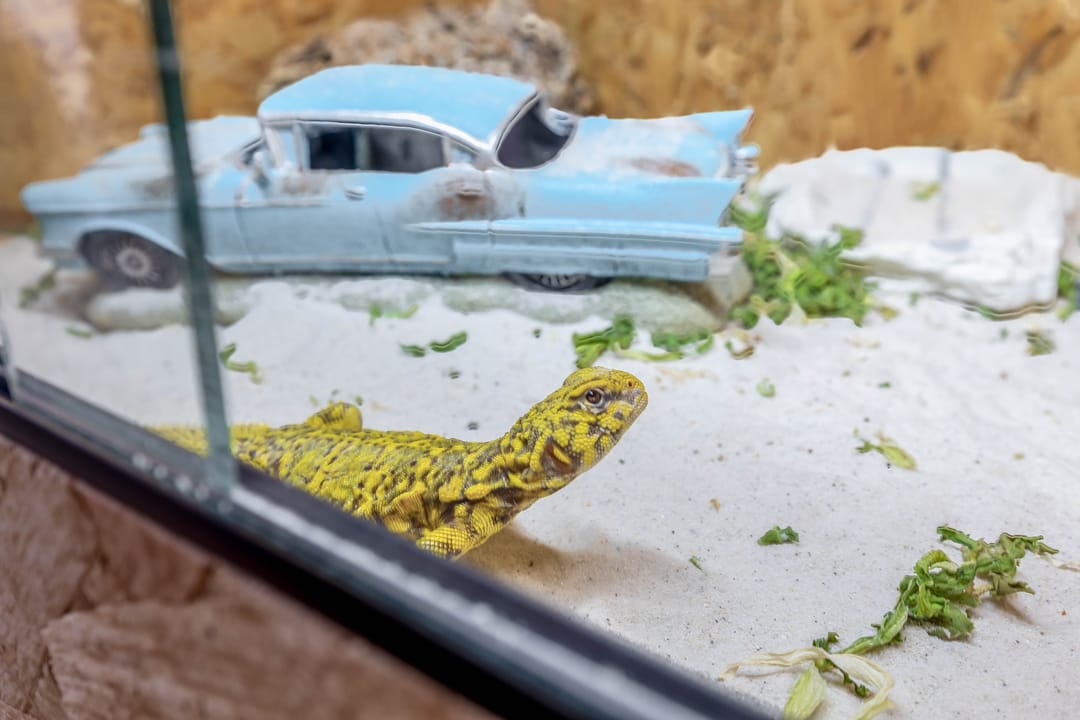 Foto 16 van Burgemeester van Edenstraat 3