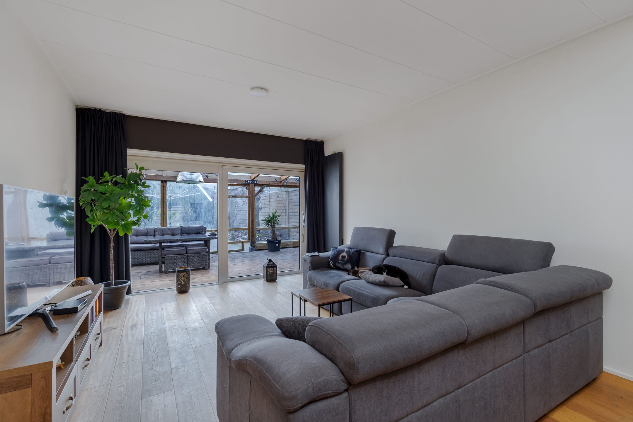 Photo 15 of Van Harenstraat 45