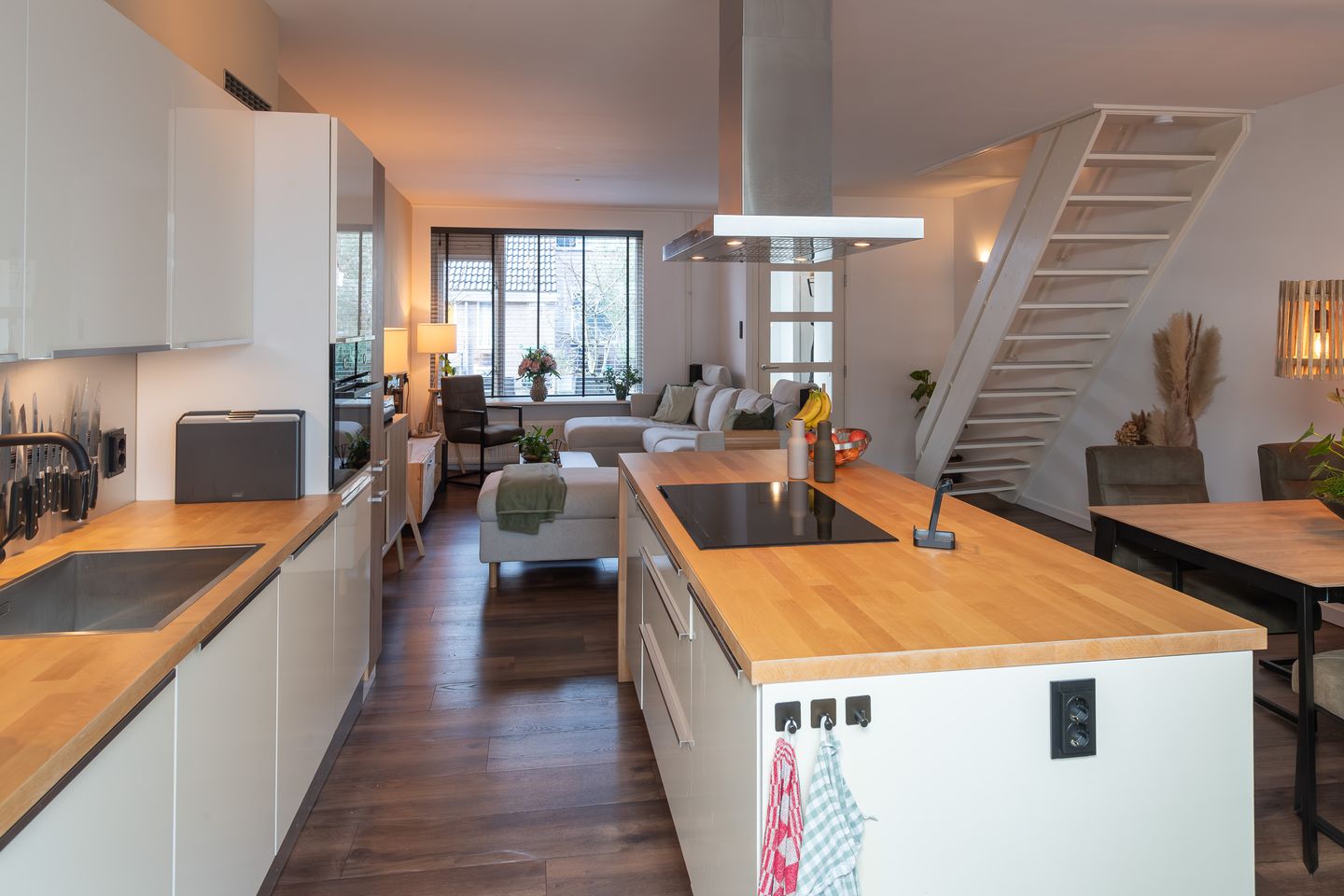 Foto 5 van Schijfmos 12