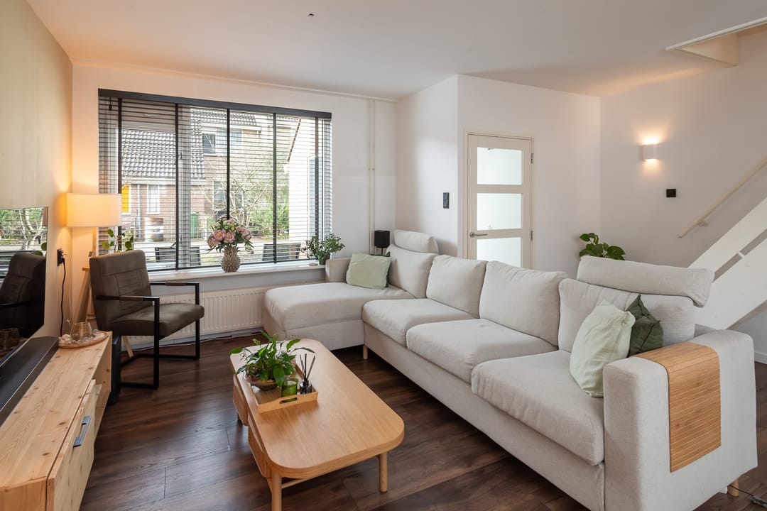 Foto 13 van Schijfmos 12