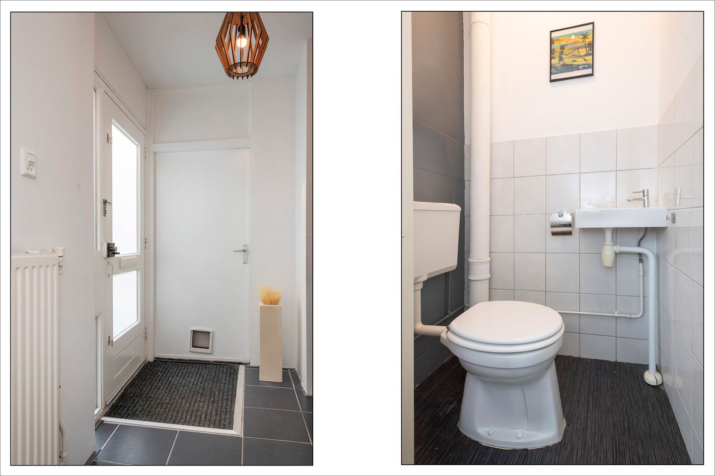 Foto 14 van Schijfmos 12