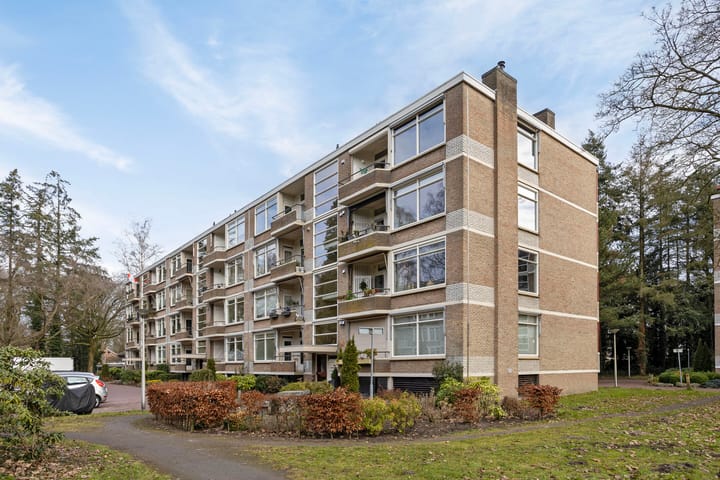 Foto 2 van Park de Kotten 221