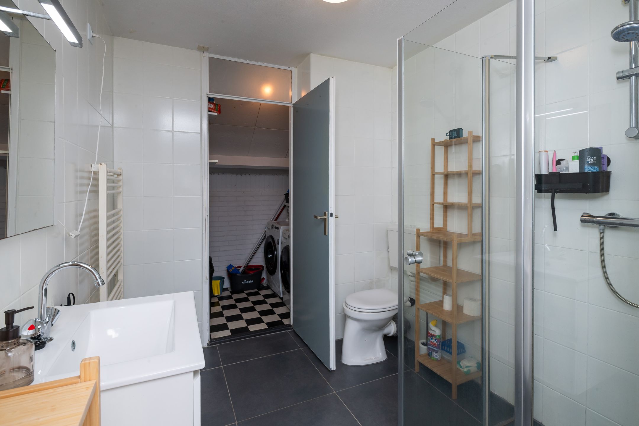 Foto 21 van Schijfmos 12