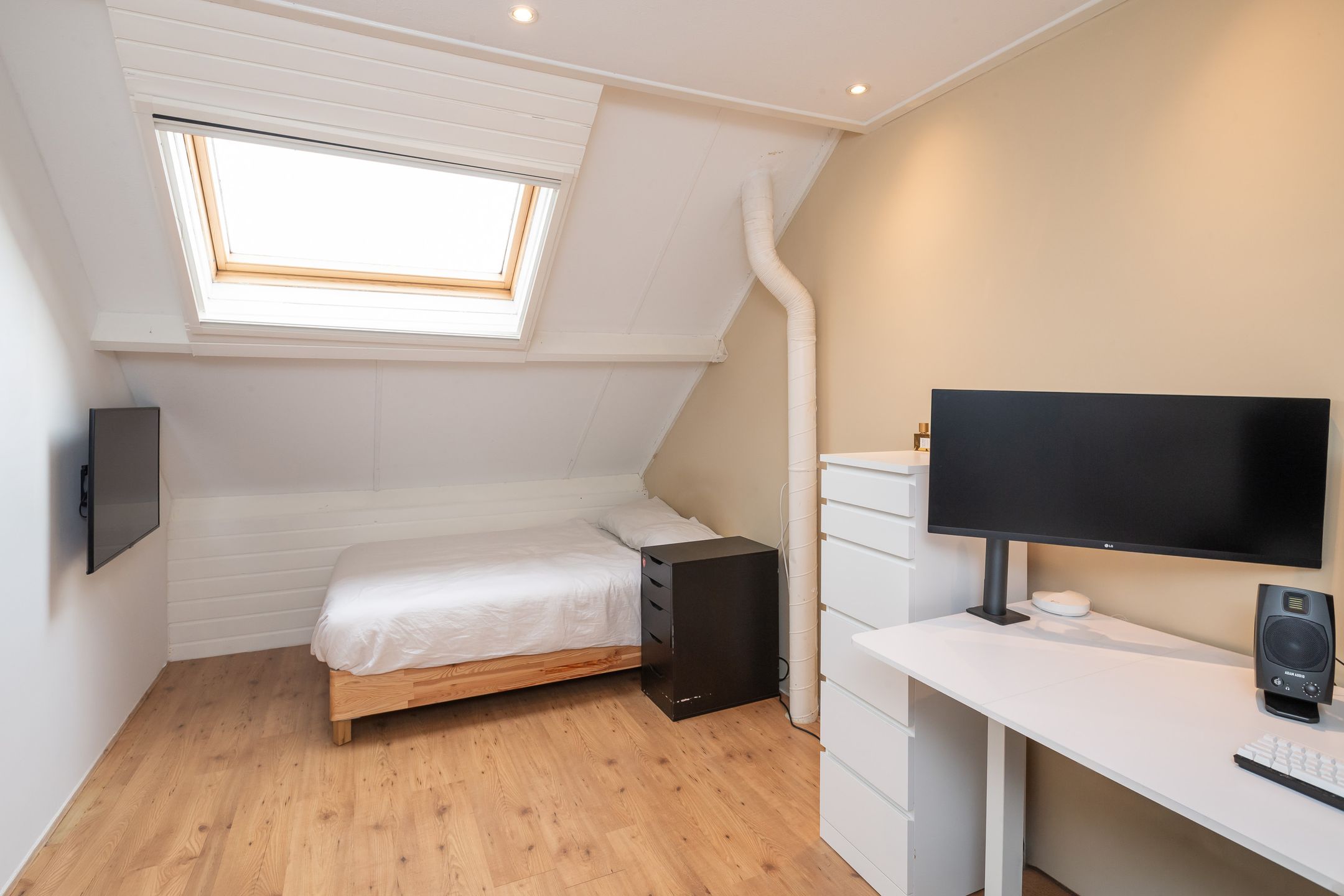 Foto 24 van Schijfmos 12