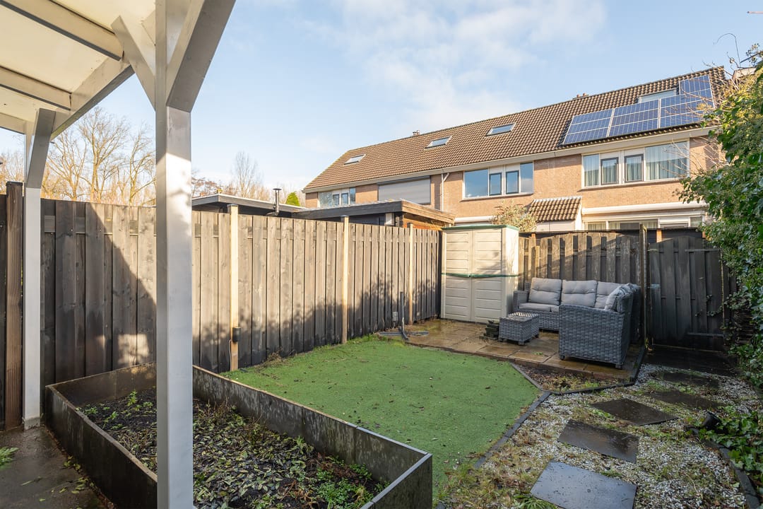 Foto 26 van Schijfmos 12