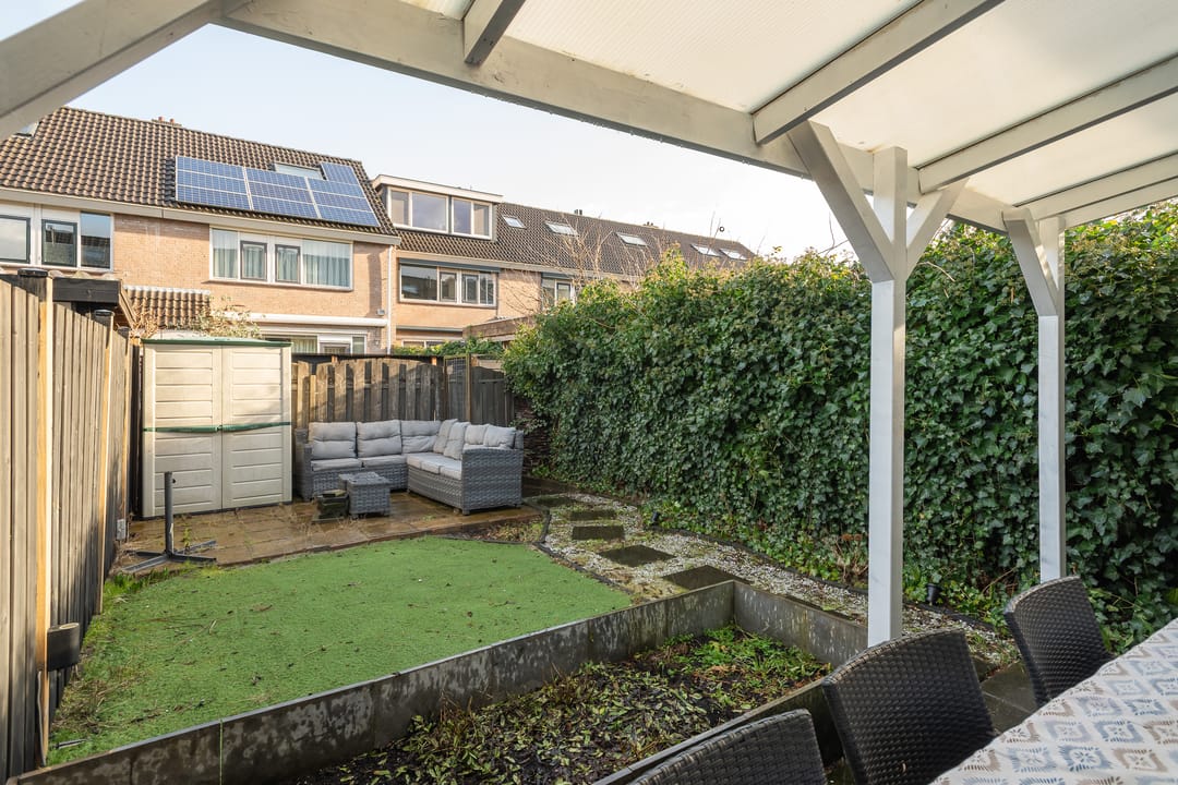 Foto 28 van Schijfmos 12