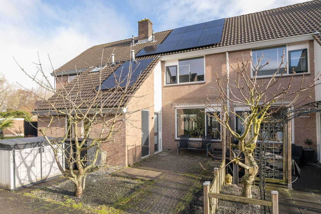 Foto 31 van Schijfmos 12