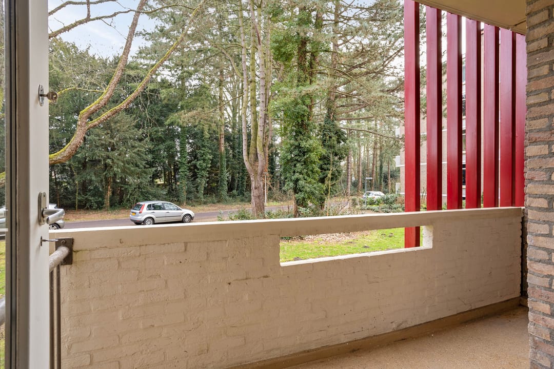 Foto 22 van Park de Kotten 221