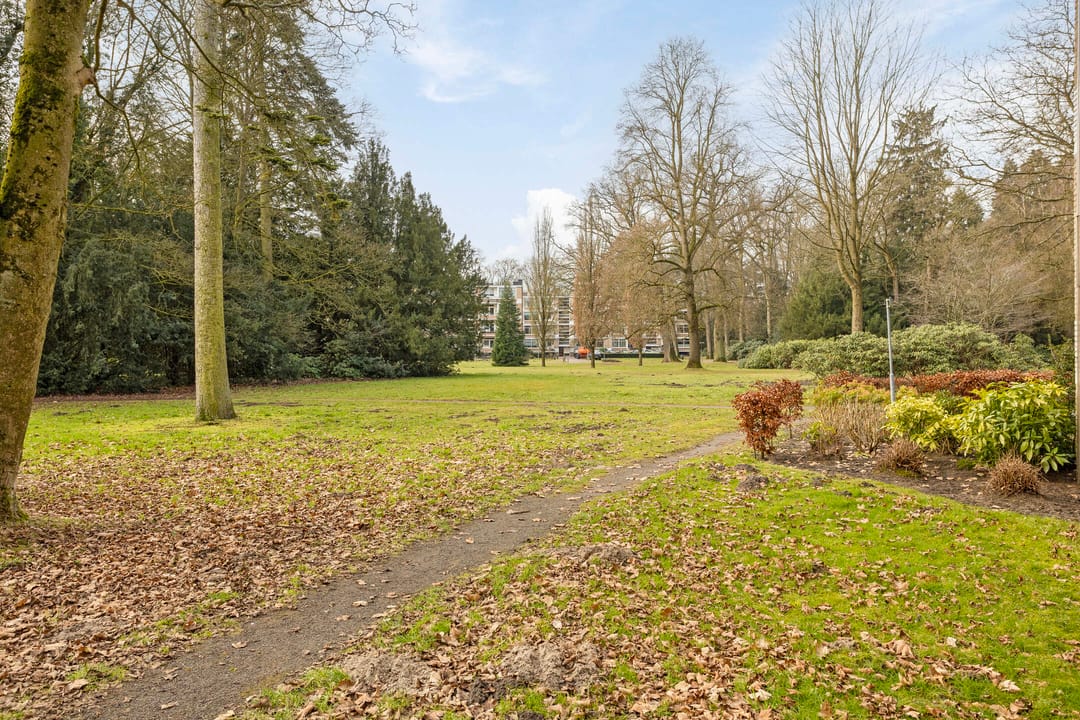 Foto 28 van Park de Kotten 221