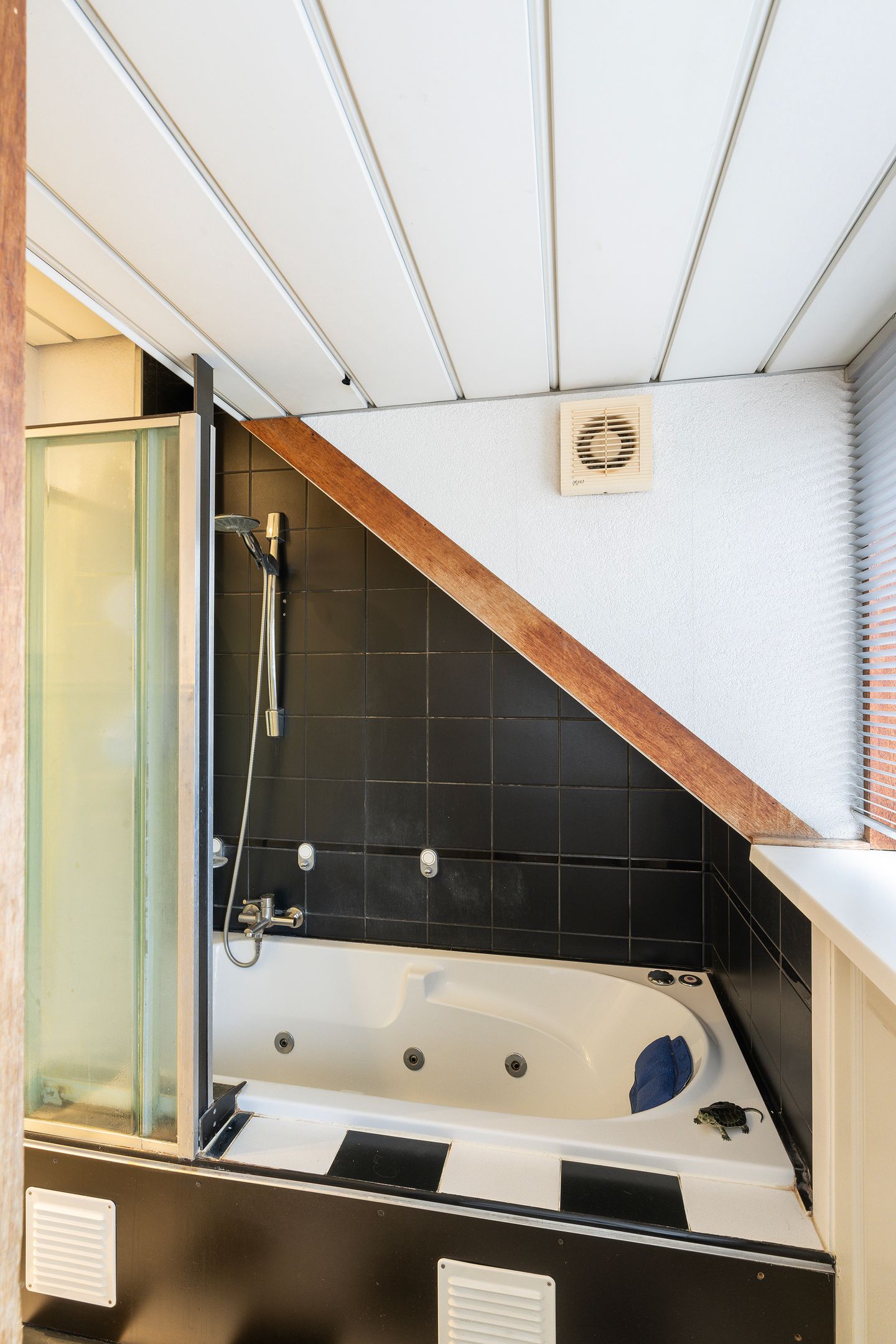 Foto 20 van Hagastraat 10