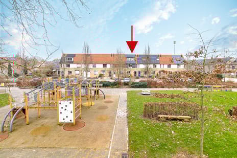 undefined main image