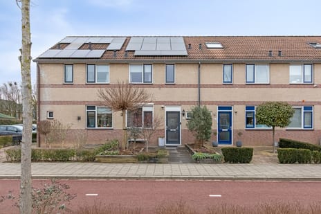 undefined main image