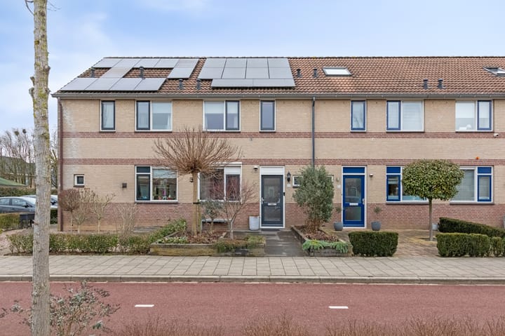 Pinksterbloem 19 main image