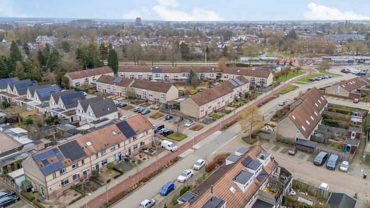 Foto 5 van Pinksterbloem 19