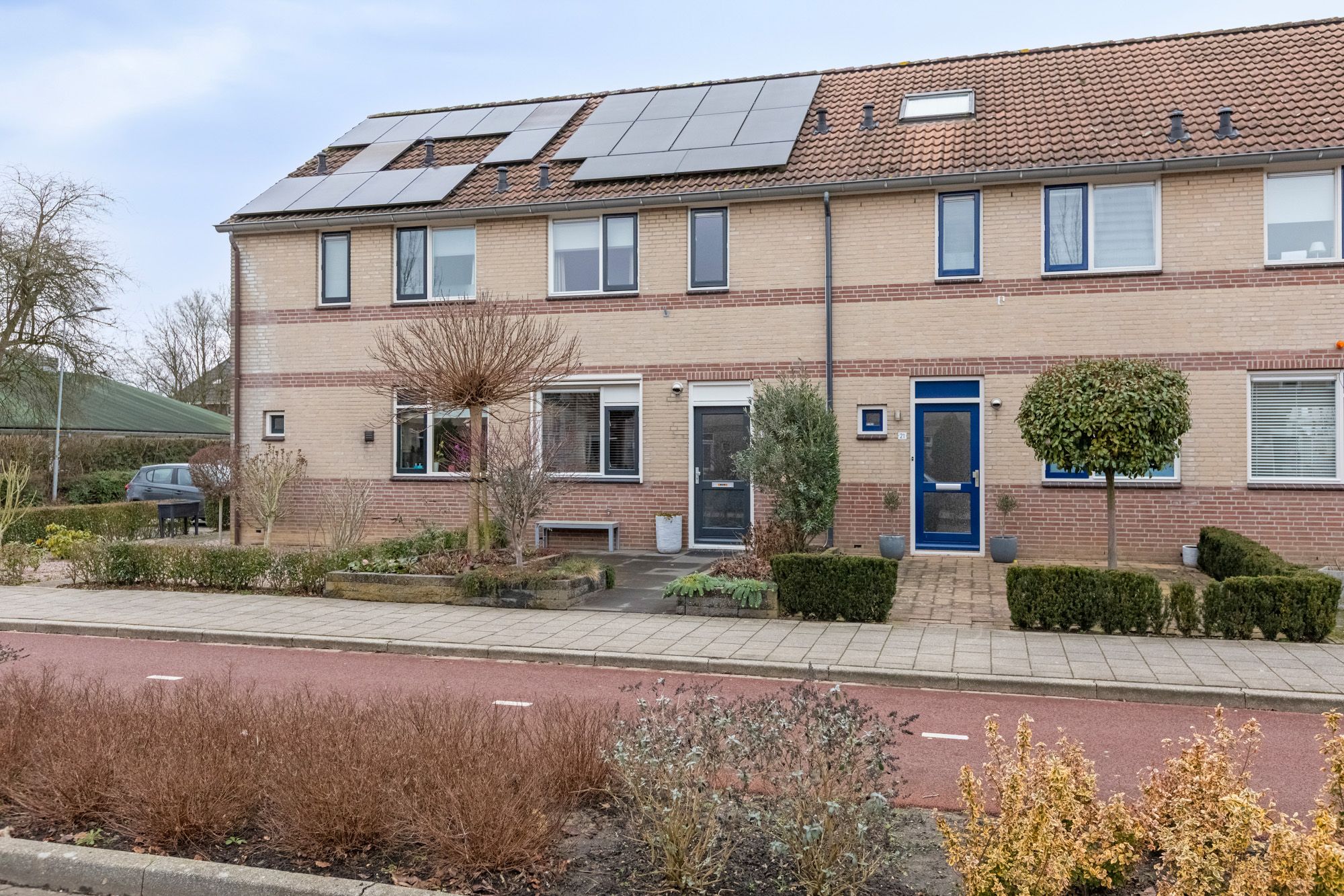 Foto 6 van Pinksterbloem 19