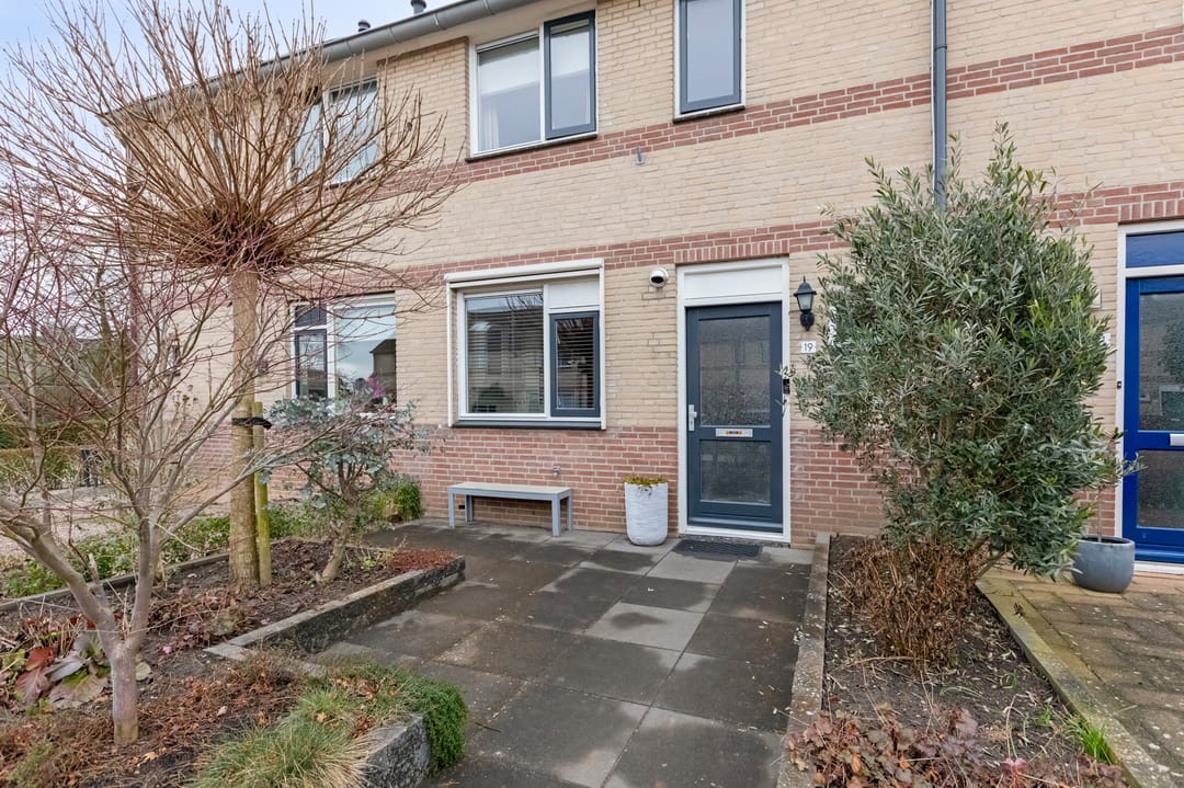 Foto 7 van Pinksterbloem 19