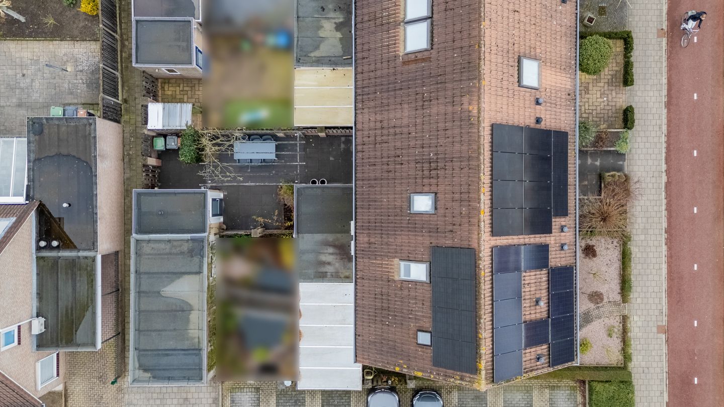 Foto 34 van Pinksterbloem 19