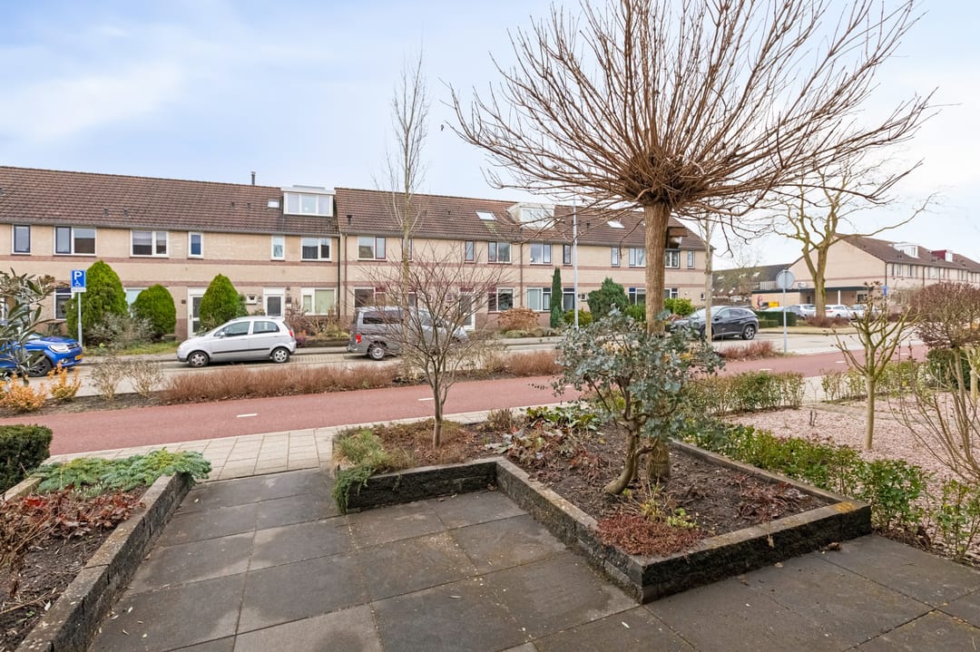 Foto 53 van Pinksterbloem 19