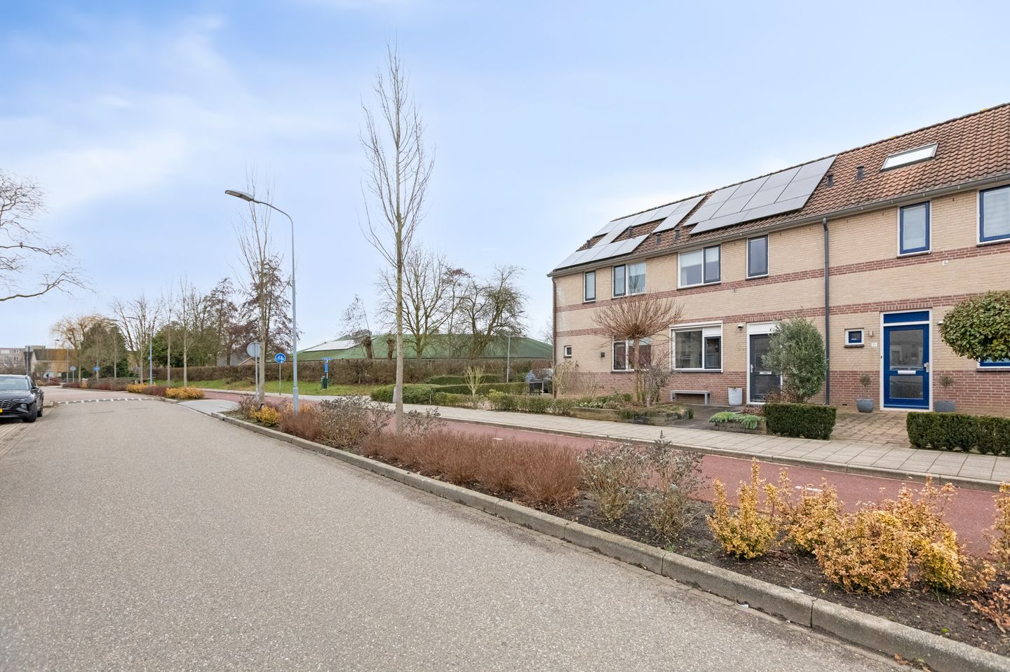 Foto 55 van Pinksterbloem 19