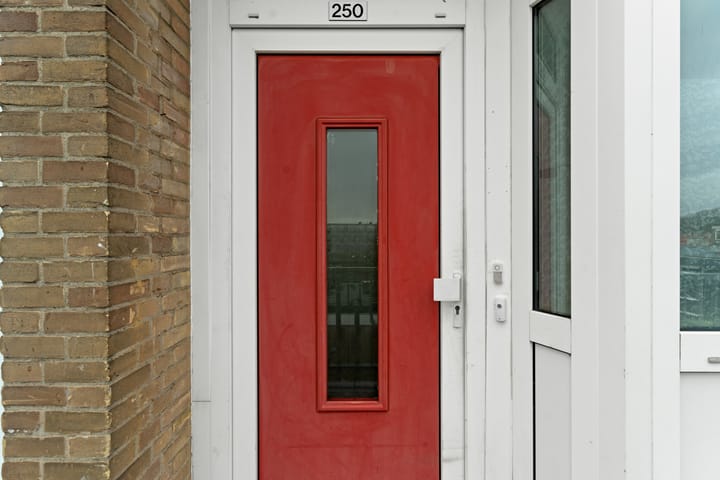 Foto 2 van Schere 250