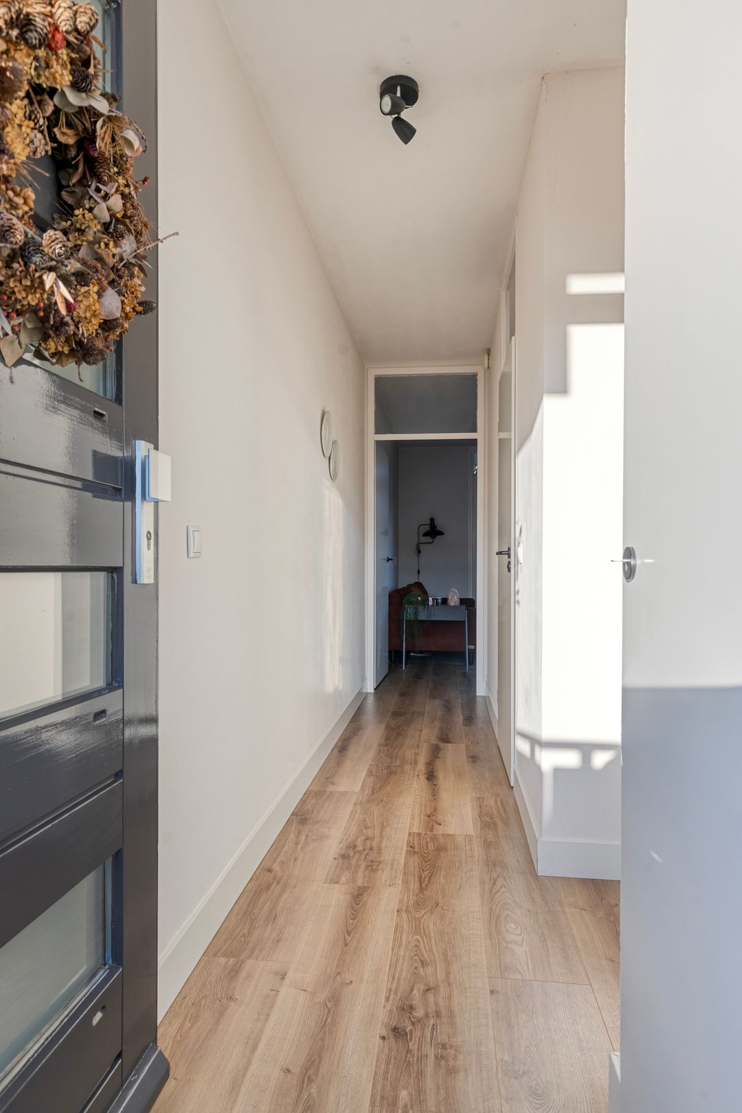 Foto 7 van Hortensia 16