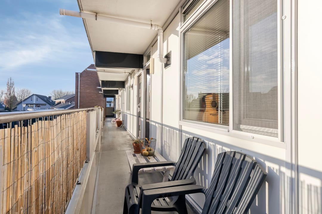 Foto 8 van Hortensia 16