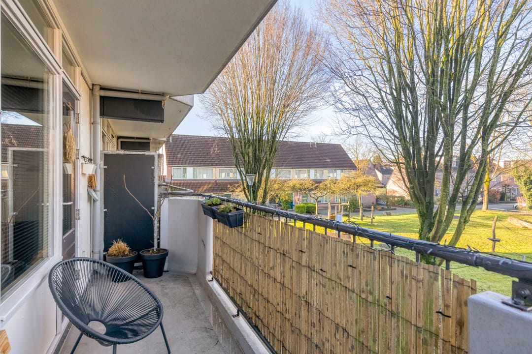 Foto 23 van Hortensia 16