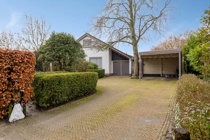 Photo 4 of Laan der Verenigde Naties 2