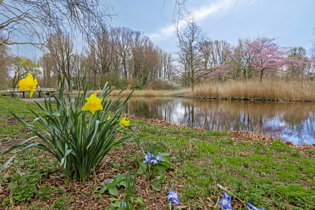 Photo 46 of Spaansgroenstraat 14