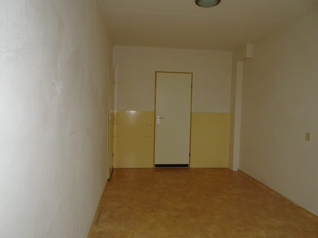 Foto 11 van Paludanusweg 33