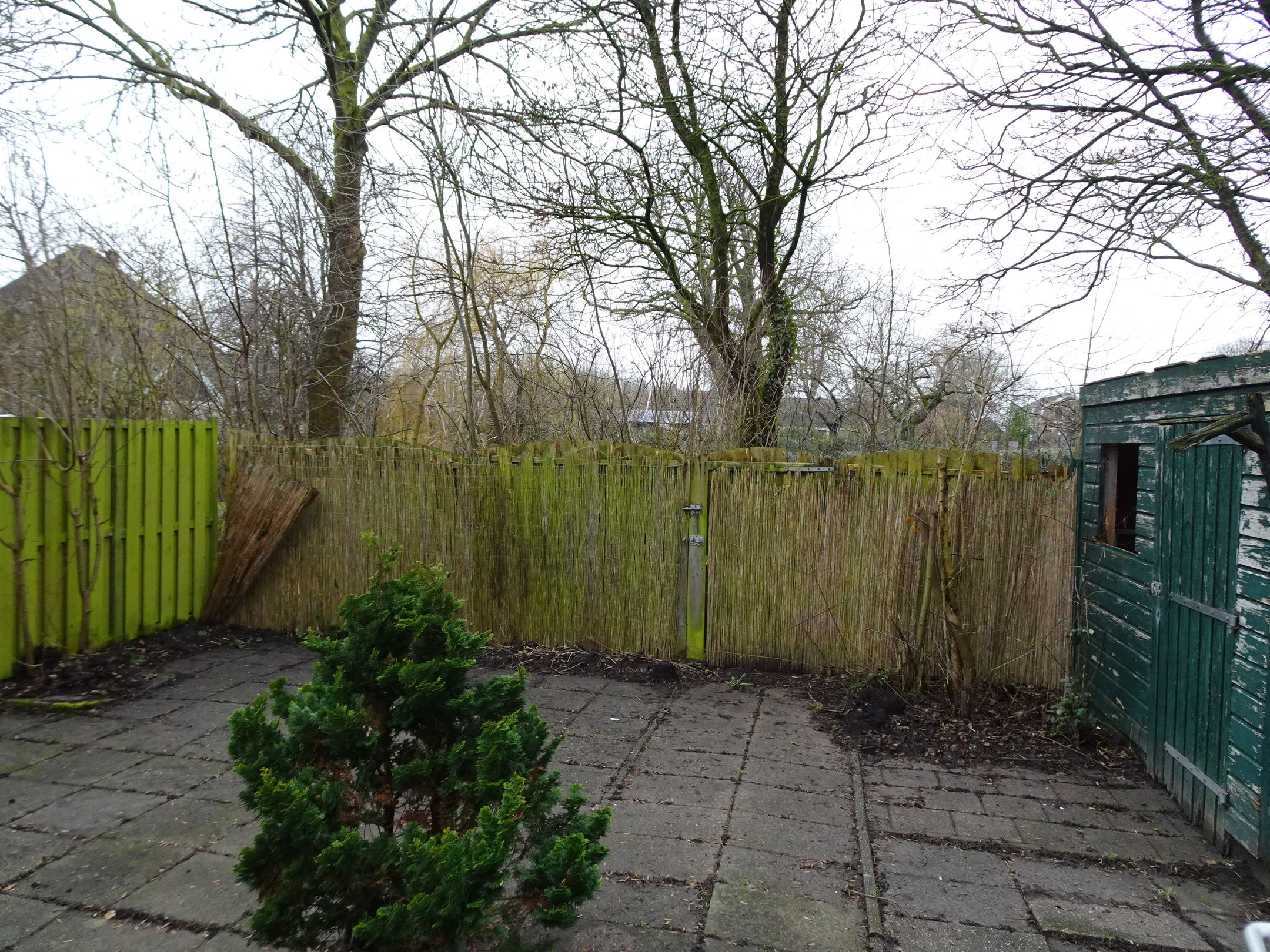 Foto 18 van Paludanusweg 33