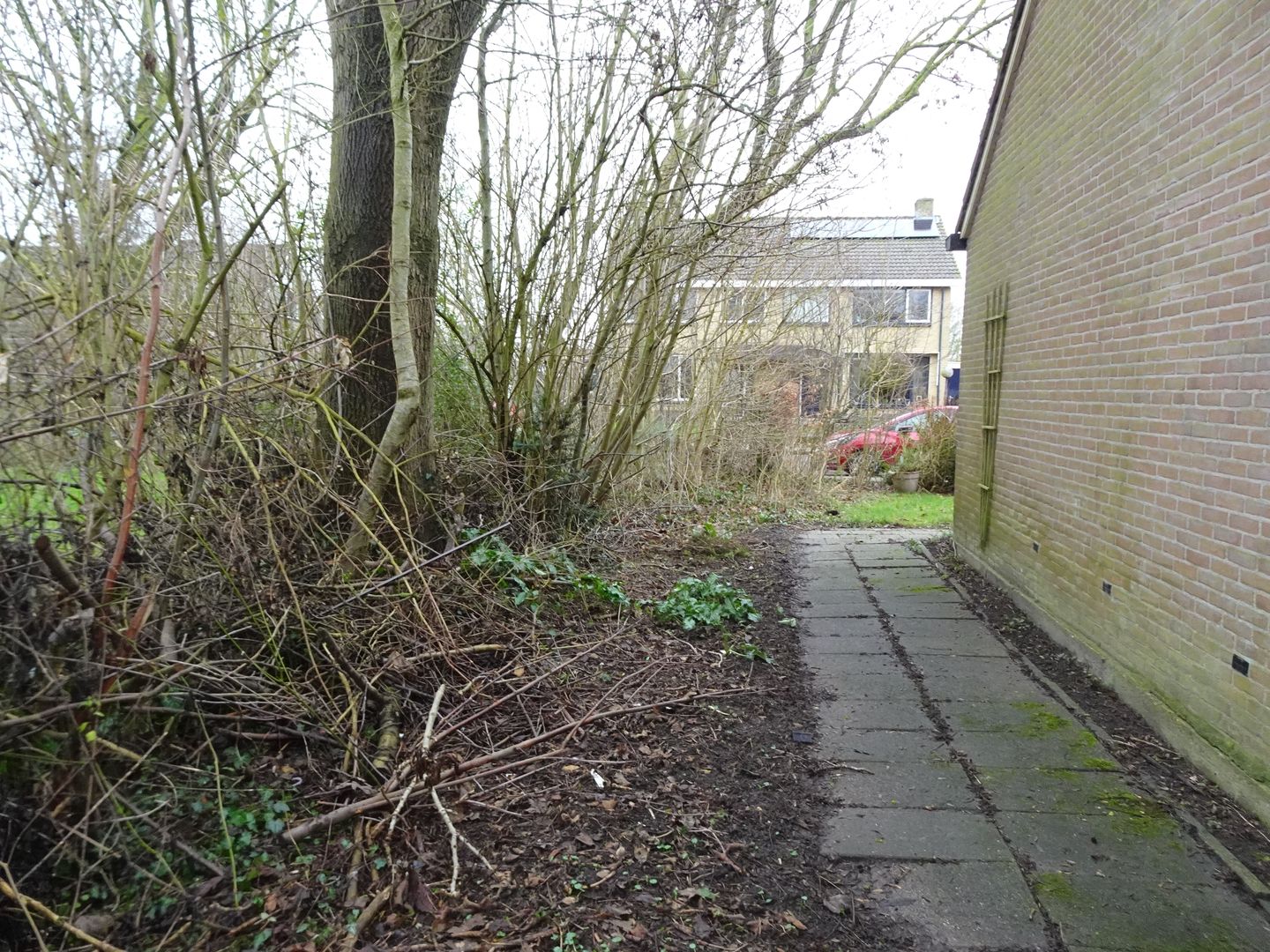 Foto 20 van Paludanusweg 33